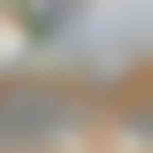 Daugiafunkcinis daržovių pjaustytuvas | SLICEIEST (4 Peiliai NEMOKAMAI)