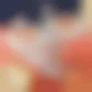 Makaronų gaminimo mašina | DUMPLINGPRO