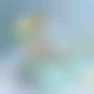 Daugiapakopė laikymo dėžė | BOKSARA