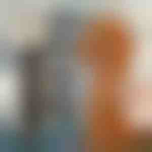 Augintinių plaukų kirpimo mašinėlės rinkinys | GULAMACHINE