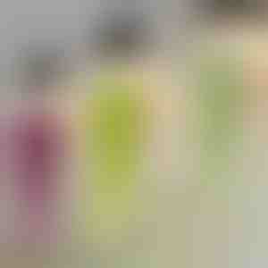 Dekoratyvinis pakabinamas augalas | IVYORA