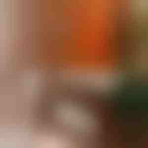 Universali baldų poliravimo priemonė | BEEWAX