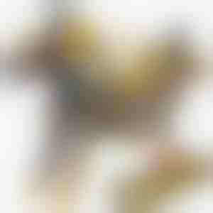 Magnetinis dinozauro automobilio žaislas | ROARWHEEL