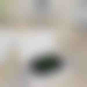 Belaidis įkroviklis Apple Watch | WATCHBANK