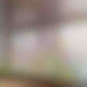 Ryškus gėlių tematikos lango lipdukas | FLORASTIK