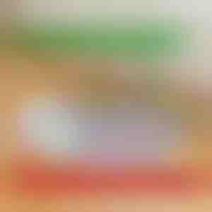 Daugkartinio naudojimo, nepralaidus šlapimui šuniukų kilimėlis | PAWSORB