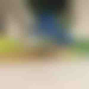 Elektrinis vaisių ir daržovių skustukas | PEELMATIC